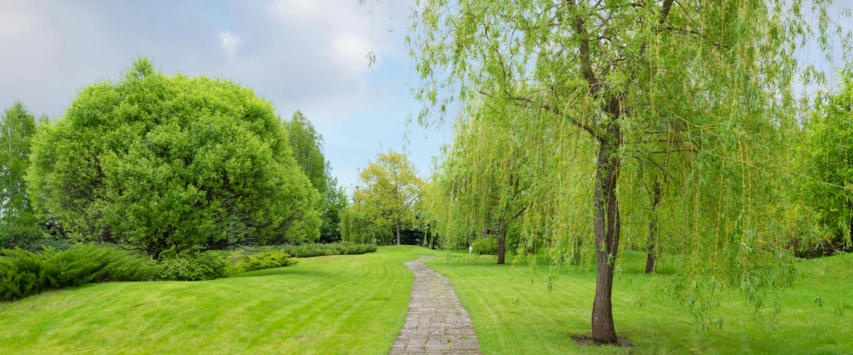 Visuel illustrant la page "Move up - fitness" sur le site du Club Nutriforme de Bordeaux